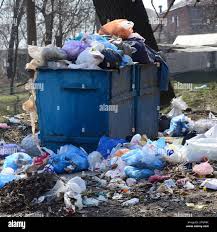 Best Yard Waste Removal  in Maroa, IL